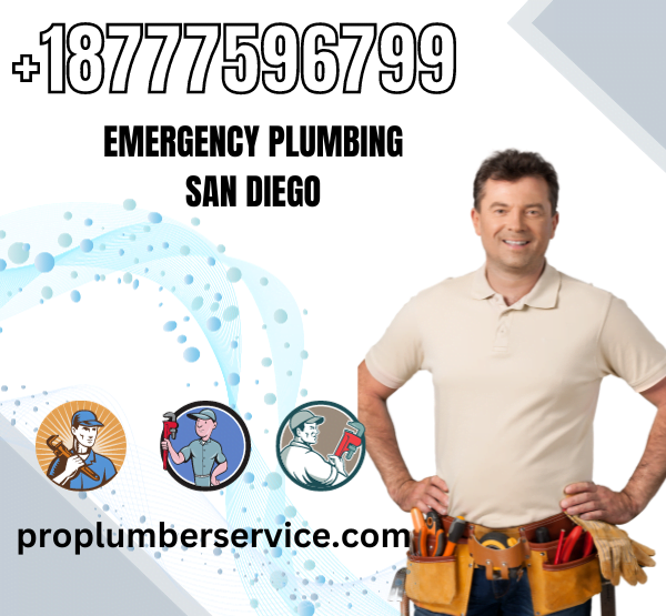 Emergency Plumbing San Diego