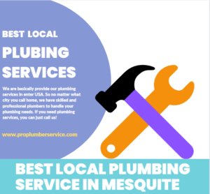 local plumbing service in mesquite
