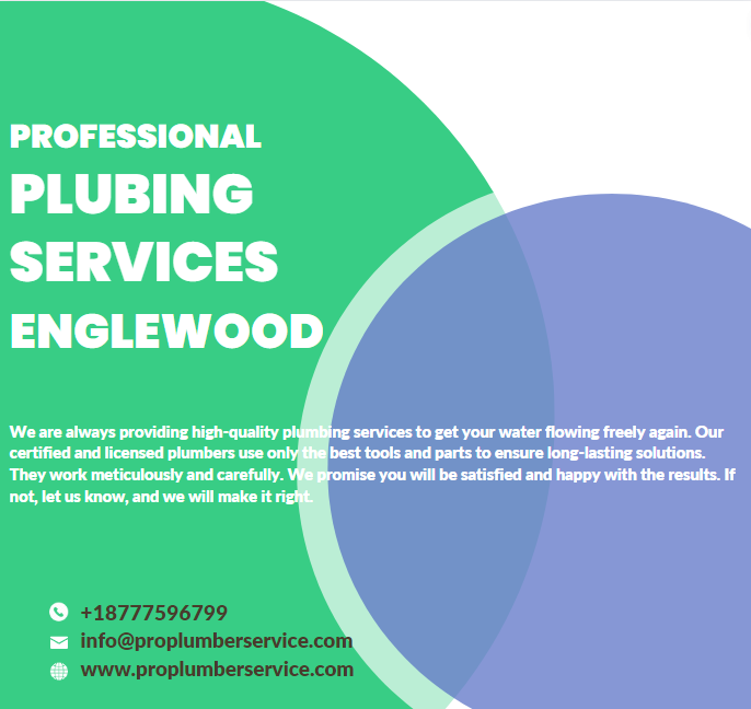 Best plumbing services Englewood