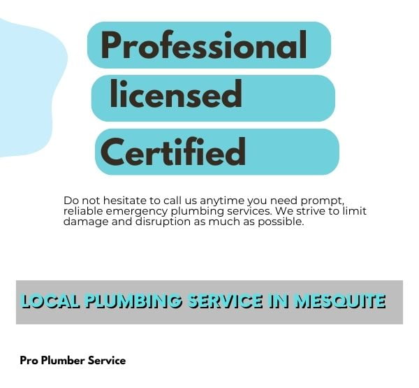 Best local plumbing service in mesquite